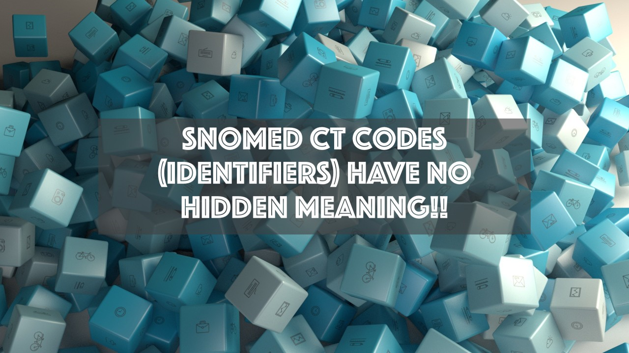 Why are SNOMED CT codes (Identifiers) meaningless numbers?