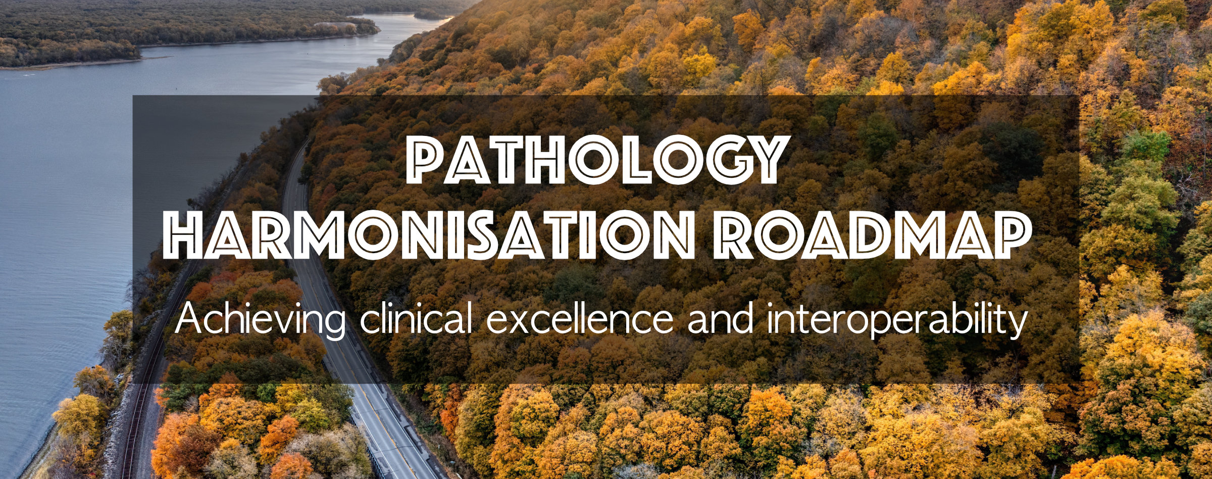 Pathology Harmonisation Roadmap